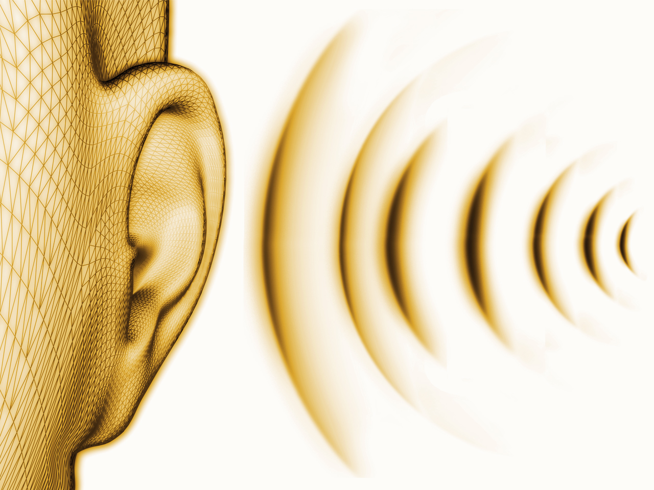Correccion acustica olas sonoras y problemas de reverberacion