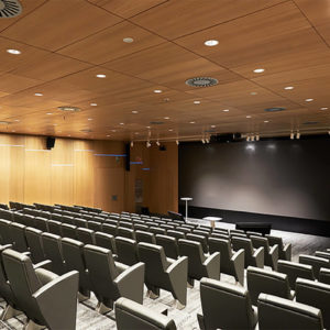 Pannelli fonoassorbenti in legno microforato in auditorium