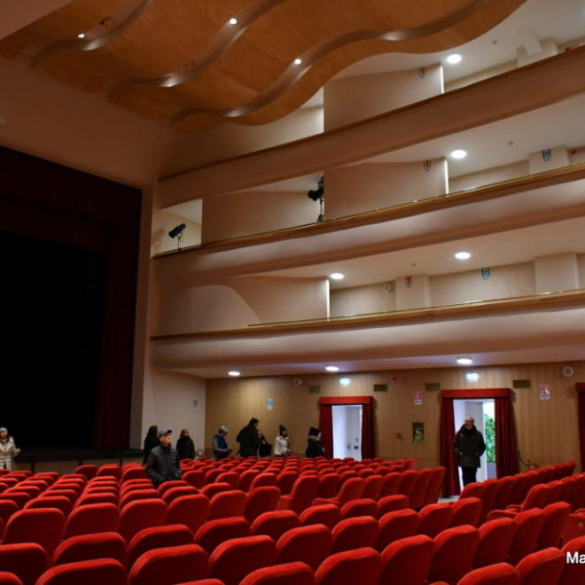 Paneles de insonorizacion de madera para un teatro