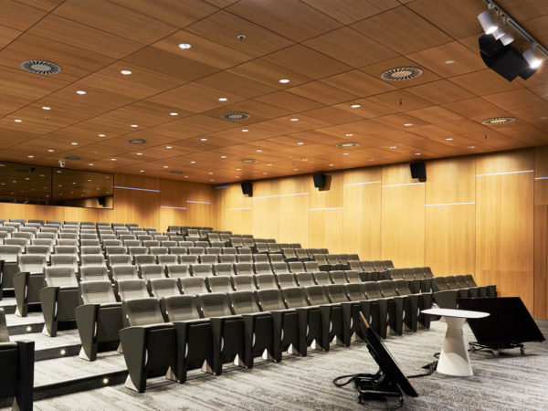 Legno microforato e pannelli fonoassorbenti in un auditorium