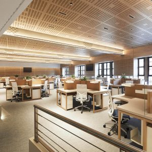 Wooden acoustic ceiling and wall panels for office