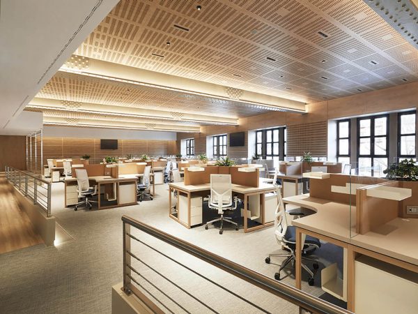 Wooden acoustic ceiling and wall panels for office