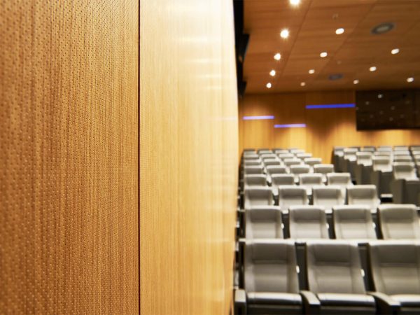 Acoustic lab microperforated wood on the wall