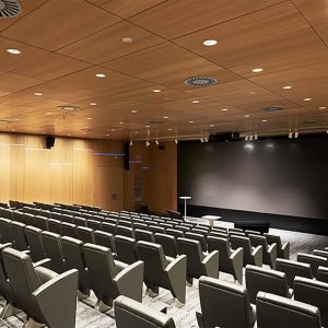 Wooden microperforated sound absorbing panels in auditorium