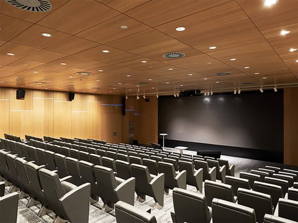 Wooden microperforated sound absorbing panels in auditorium