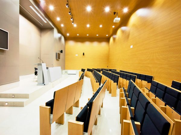 Milled wooden acoustic wall panels for auditorium