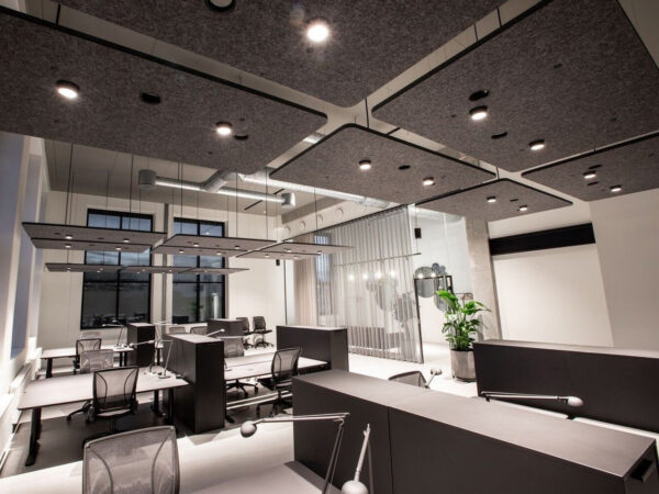 Paneles fonoabsorbentes suspendidos en fieltro gris espacios trabajo compartidos